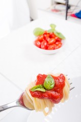 Forkful with succulent and tasty spaghetti with tomato sauce and basil