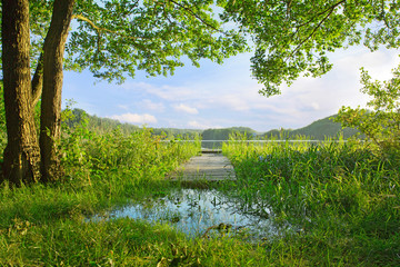 lake and green meadow near the water. Summer time
