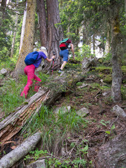 Two women climb uphill through the forest