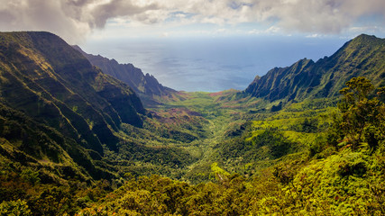 Panoramic landscape view of Kalalau valley and Na Pali cliffs © Martin M303