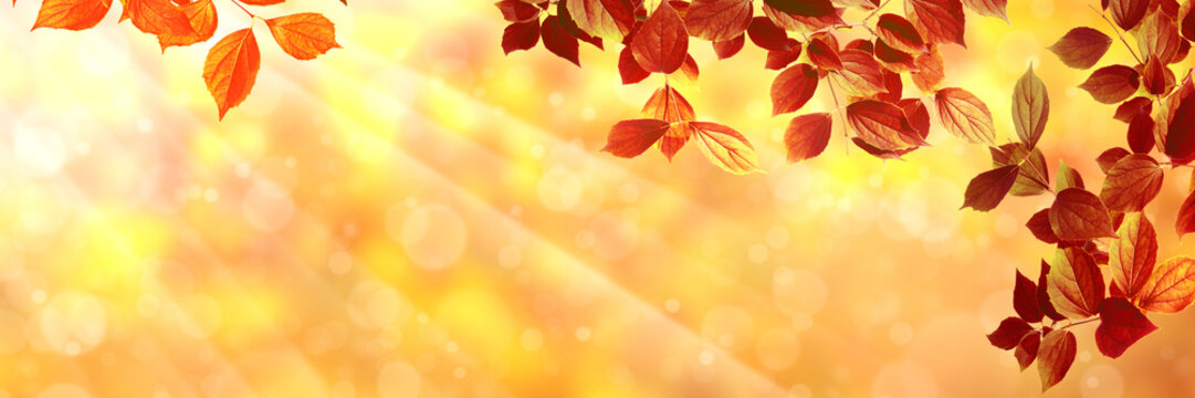 Herbst 133