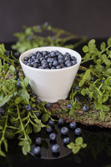 Blueberry in white bowl on bark with moss, stay in the mirror
