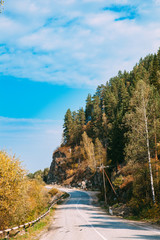 Sunny autumn day and a road in wild woods