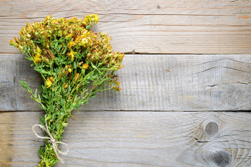 Bunch of hypericum on wooden background