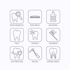 Tooth, dental braces and mouthwash icons.