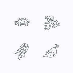 Octopus, turtle and dolphin icons. Jellyfish.