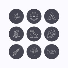 Pine tree, fishing float and hiking boots icons.
