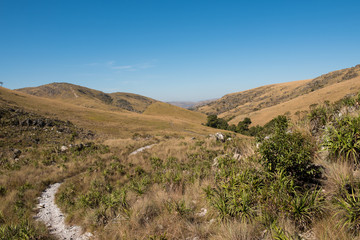 A pathway at Chapadao da Babilonia in Serra da Canastra, Minas