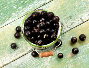 Fresh Berries of Blackcurrant