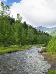 Landscape mountain river with meadow and birch trees on a background of mountains with clouds