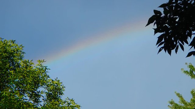 arc-en-ciel