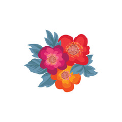 Flower posy. Floral bouquet isolated over white background. Flourish design element