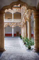 Palace in Guadalajara