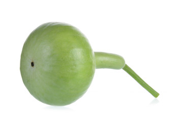 Bottle Gourd fruit isolated on white background