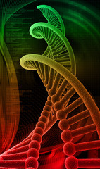 3d DNA structure
