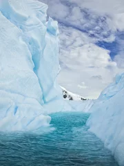 Deurstickers antarctica © Dan Kosmayer