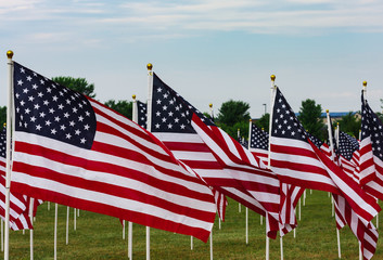 Memorial Day - Field of American Flags