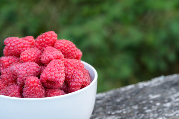 Fresh picked raspberries in a white bowl sitting on a deck railing
