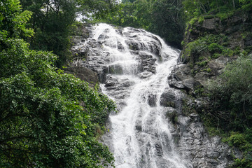 Fototapeta na wymiar Waterfall with green plant surrounded
