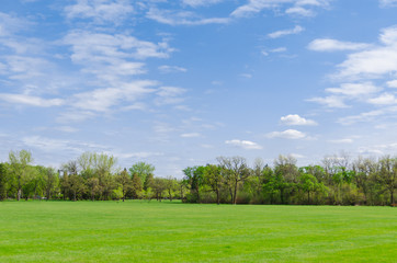 beautiful sunny day in park at spring time, blue cloudy sky, green lawn, leafy trees 