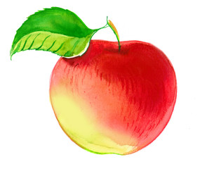 Watercolor apple with leaf