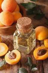Aromatic apricot oil in a glass bottle close-up. vertical
