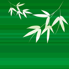Vector bamboo on green background