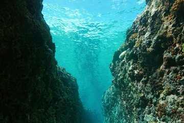 Underwater crevasse in the outer reef, Pacific ocean, French Polynesia