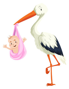 Crane delivering baby girl