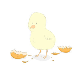 Little Chicken Hatched from an Egg. A hand drawn vector illustration of a cute chick just came out of its egg.