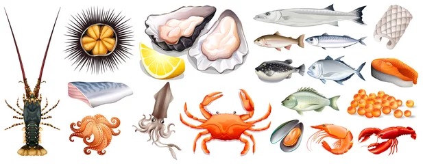 Deurstickers Set of different kinds of seafood © blueringmedia