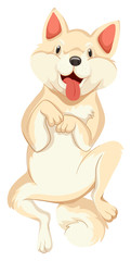 Cute dog with white fur