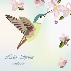 Spring Blossom Flowers and hummingbird Vector illustration © castecodesign