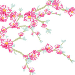 Vector illustration blooming flowers on tree branch in watercolor technique. Spring Time flowers background