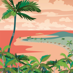 Fototapeta na wymiar Vector Sunset Tropic Beach with Palm trees. Vector summer background card