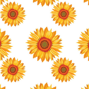 Sunflower Vector pattern background