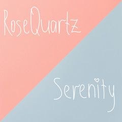 Rose Quartz and Serenity - trendy fashion color. Abstract background of fashion pastel colors: rose quartz and serenity papers in minimal concept. Flat lay, Top view.