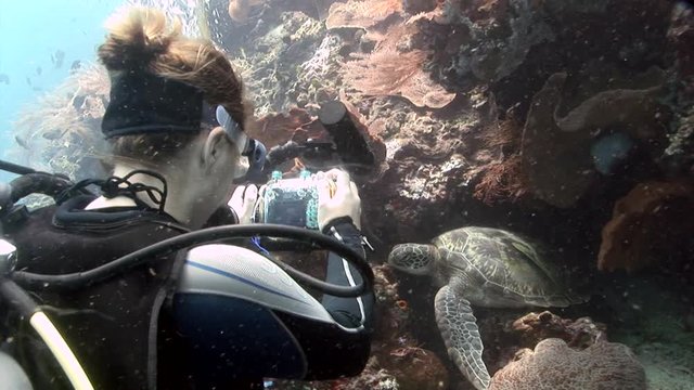 scuba diving girl take pictures with camera from caret turtle indonesia