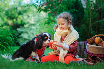 happy child girl with her dog harvesting apples in autumn garden, kid training her dog and feed him