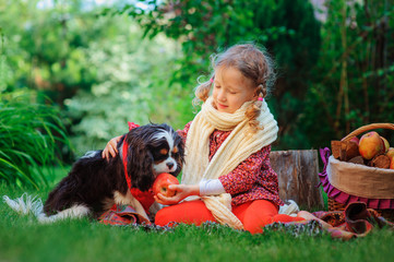 happy child girl with her dog harvesting apples in autumn garden, kid training her dog and feed him