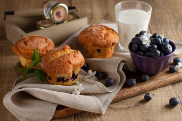 Homemade blueberry muffins with glass of milk