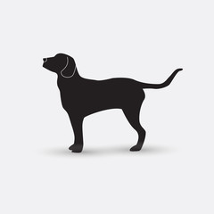 Vector silhouette of a dog on white background.