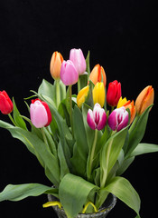 colorful bouquet of fresh spring tulip flowers
