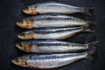 whole raw sardines fish