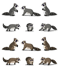 Raccoon Isolated on White Background © multipedia