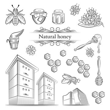 Hand-drawn icons bees and honey.