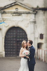 Happy wedding couple hugging and smiling each other on background old castle