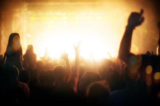 Party people attending a concert