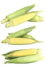 collage of corn on a white isolated background