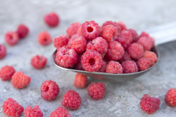 raspberries in the metallic spoon